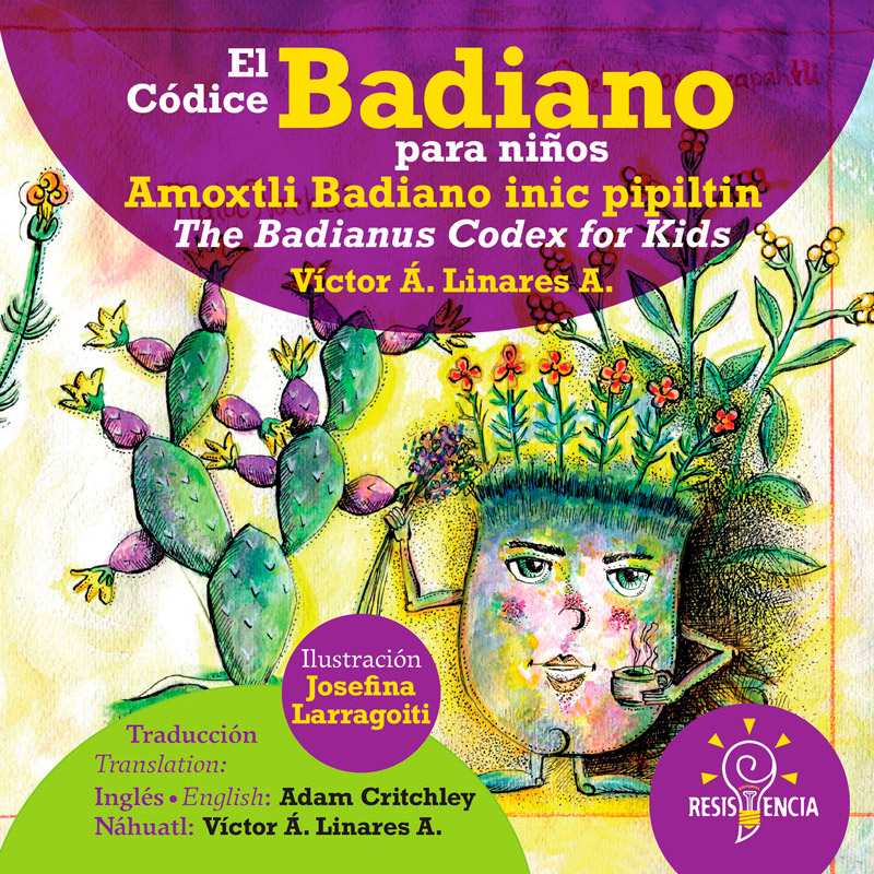 El Códice Badiano para niños